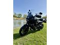HARLEY-DAVIDSON PAN AMERICA SPECIAL 2023 - 5