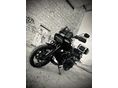 HARLEY-DAVIDSON PAN AMERICA SPECIAL 2023 - 2