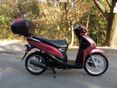 HONDA NSC 50 2014/6 - 9