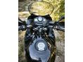 YAMAHA TDM 900 2006/3 - 5