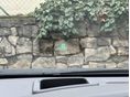 TOYOTA PRIUS 2010/1 - 11