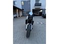 TRIUMPH TRIDENT 2024/8 - 3