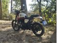 ROYAL ENFIELD SCRAM 411 2022/9 - 6