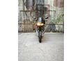 YAMAHA FZS 600 (FAZER) 1998/7 - 2