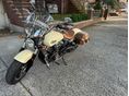 INDIAN SCOUT 2017/5 - 7