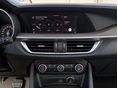 ALFA ROMEO STELVIO 2021/5 - 11
