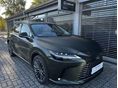 LEXUS RX 2025/9 - 9