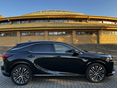 LEXUS RX 2023/2 - 8