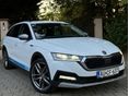 SKODA OCTAVIA 2022/5 - 2
