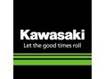 KAWASAKI ZX-10 R (NINJA) 2024/7 - 4