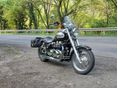 TRIUMPH BONNEVILLE AMERICA 2007/7 - 2
