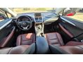 LEXUS NX 2017/10 - 10