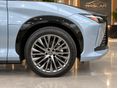 LEXUS RZ 2023/4 - 2