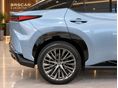 LEXUS RZ 2023/4 - 22