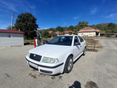 SKODA OCTAVIA 1.9 TDi Business