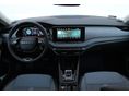 SKODA OCTAVIA 2026/9 - 9