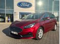 FORD S-MAX 2019 - 1