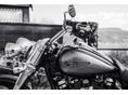 HARLEY-DAVIDSON FREEWHEELER 2017/3 - 3