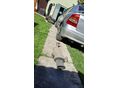 OPEL ASTRA G 1998/3 - 6
