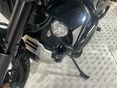 HARLEY-DAVIDSON PAN AMERICA SPECIAL 2021 - 5