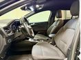 FORD FOCUS 2021/4 - 9