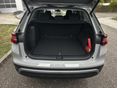 SKODA KODIAQ 2026/10 - 10