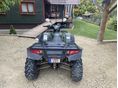 HONDA TRX 650 FA 2003 - 4
