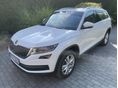 SKODA KODIAQ 2019/3 - 1