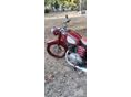 PANNONIA T1 1961/2 - 8
