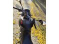 APRILIA PEGASO I.E. 650 2005/9 - 5