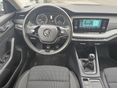 SKODA OCTAVIA 2023/8 - 12
