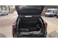 LEXUS NX 2026 - 6