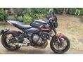 TRIUMPH TRIDENT 2021/2 - 1