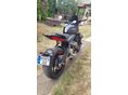 TRIUMPH TRIDENT 2021/2 - 2