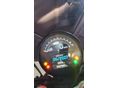 TRIUMPH TRIDENT 2021/2 - 9