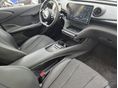 BYD DOLPHIN 2024/7 - 15