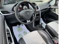 PEUGEOT 207 2009 - 9