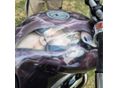 YAMAHA BT 1100 2002 - 6
