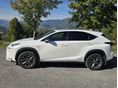LEXUS NX 2016/7 - 2