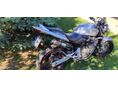 HONDA CB 600 F (HORNET) 2004/12 - 3