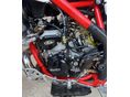 BETAMOTOR XTRAINER 300 2019/4 - 6