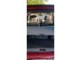 SUZUKI ALTO 2003/11 - 6
