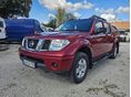 NISSAN NAVARA 2007/6 - 7