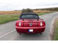 FORD MUSTANG 2006/6 - 3