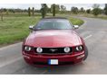 FORD MUSTANG 2006/6 - 6