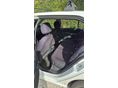 SKODA FABIA 2004 - 4