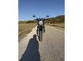 SUZUKI GSF 1200 (BANDIT) 2004 - 9