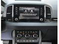 SKODA KAROQ 2026/1 - 11