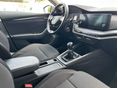 SKODA OCTAVIA 2021/5 - 12