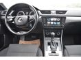 SKODA SUPERB 2020/11 - 2